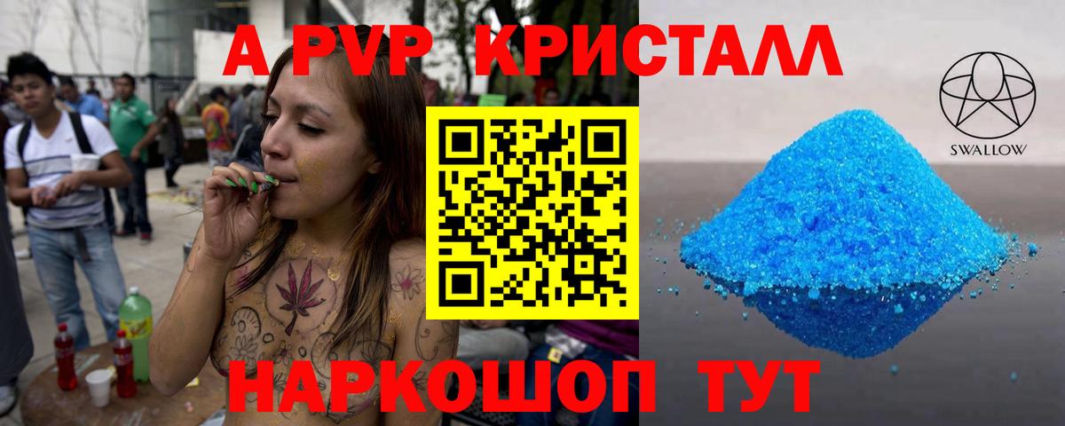 A PVP СК КРИС Элиста