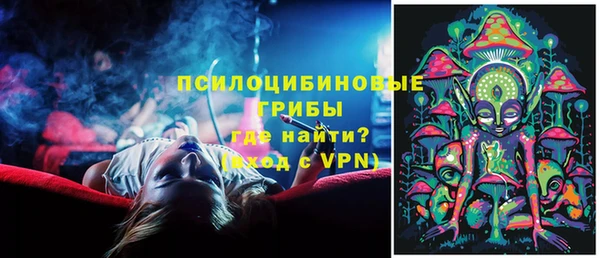 ПСИЛОЦИБИНОВЫЕ ГРИБЫ Абдулино
