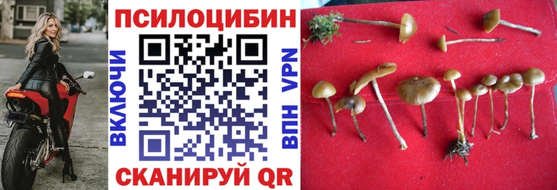 что такое наркотик ссылка на мегу рабочий сайт Галлюциногенные грибы мухоморы Элиста