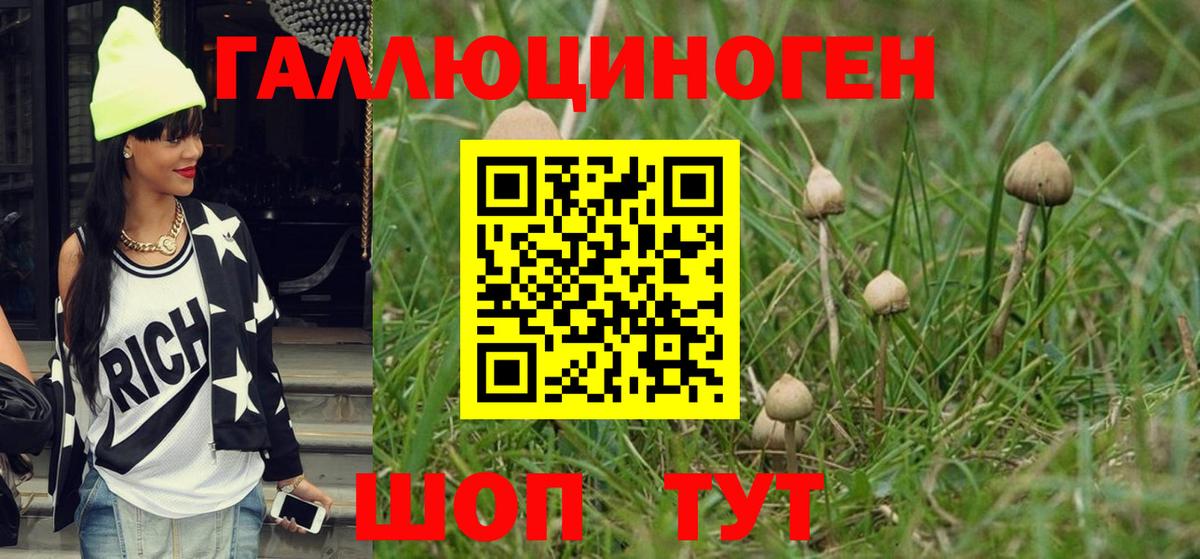 Элиста  Галлюциногенные грибы мухоморы  Вход с VPN 